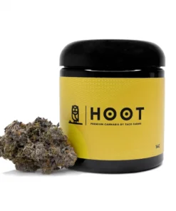 Hoot Cannabis – Grape Runtz