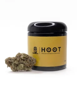 Hoot Cannabis – Ice Cream Zundae