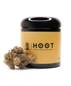 Hoot Cannabis – Zero Gravity