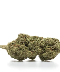 BUBBLE GUM – HYDRO