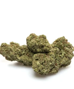 BUBBLE GUM – HYDRO