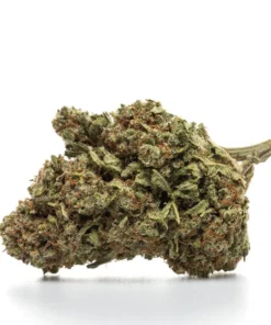 FORBIDDEN FRUIT – HYDRO