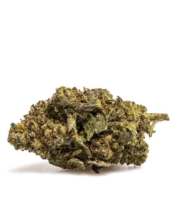 SUPER LEMON HAZE – THX