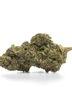 WEDDING CAKE – HYDRO